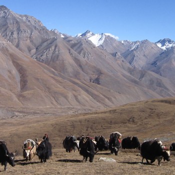 Upper Dolpo Trek